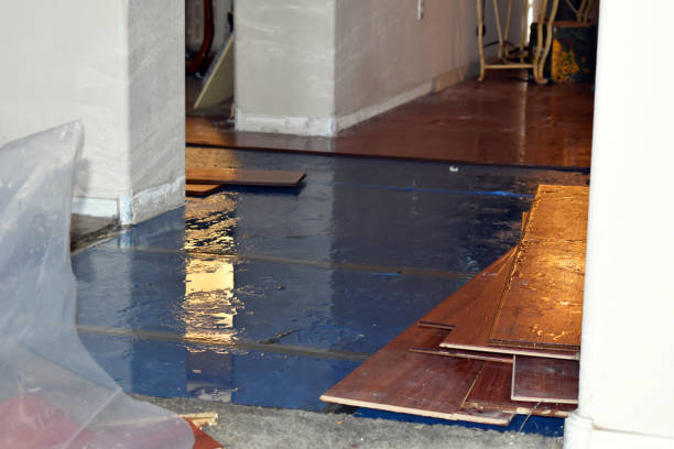 Professional Burst Pipe Cleanup technician working in Rushville, IN